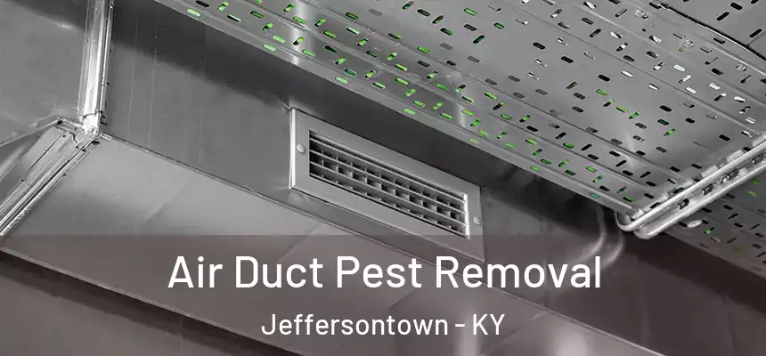  Air Duct Pest Removal Jeffersontown - KY