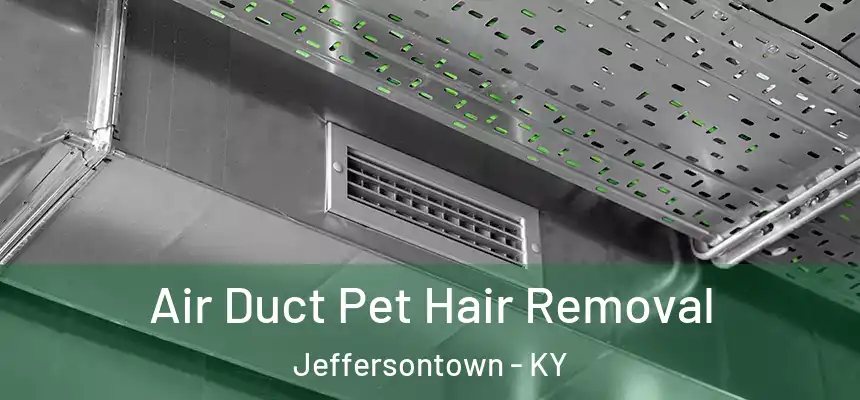 Air Duct Pet Hair Removal Jeffersontown - KY