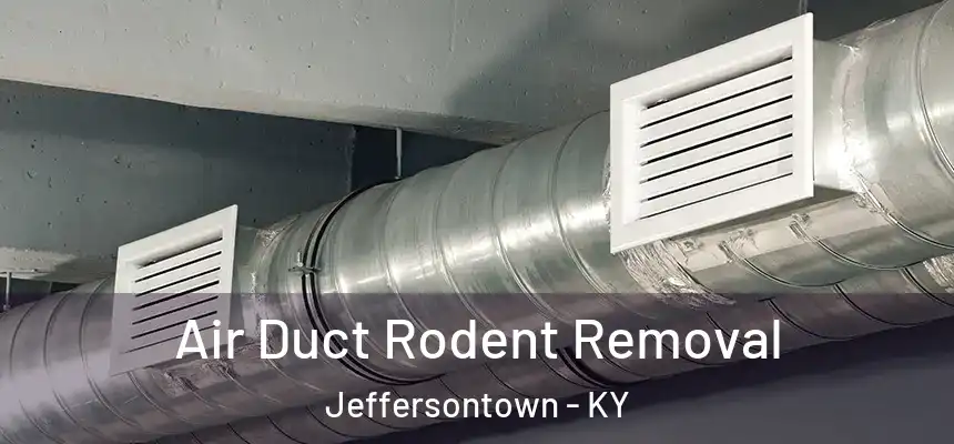  Air Duct Rodent Removal Jeffersontown - KY
