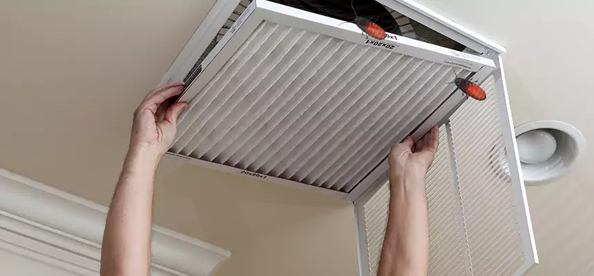 Preventive Cockroach-Proofing for Ducts in Jeffersontown