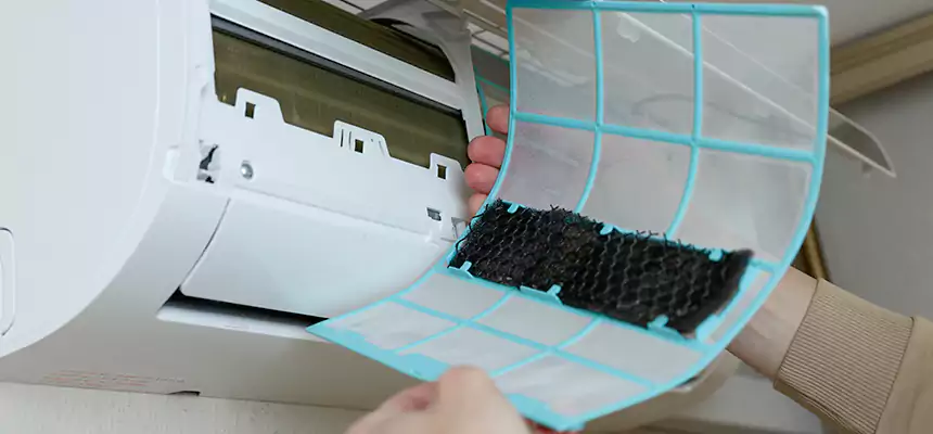 Gentle Ductwork Odor-Control Pet Dander Duct Cleaning in Jeffersontown, KY