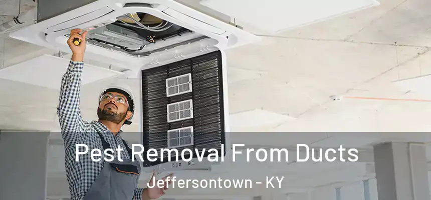 Pest Removal From Ducts Jeffersontown - KY