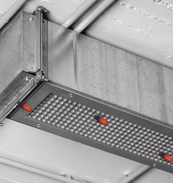 Affordable Insect Removal from Air Ducts in Jeffersontown, KY