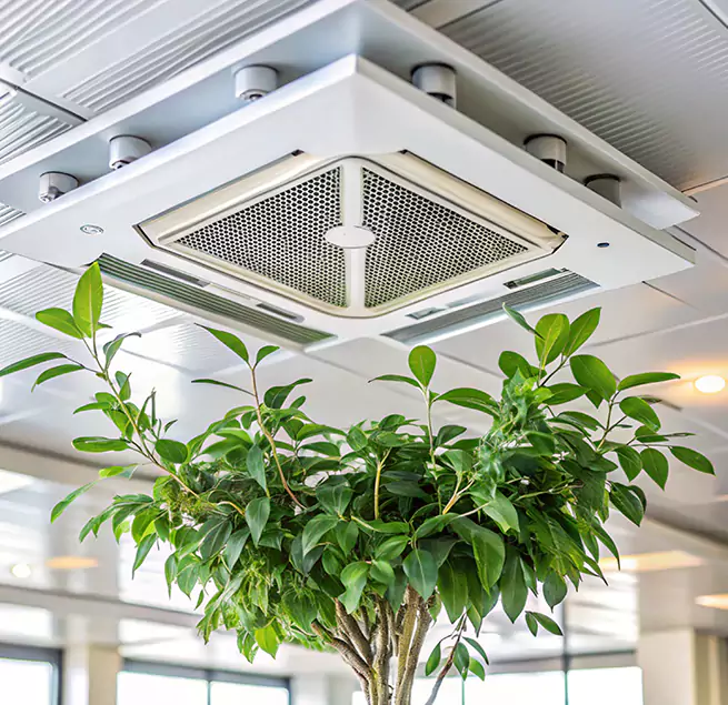 Why Homeowners & Businesses Trust Us in Jeffersontown, KY?